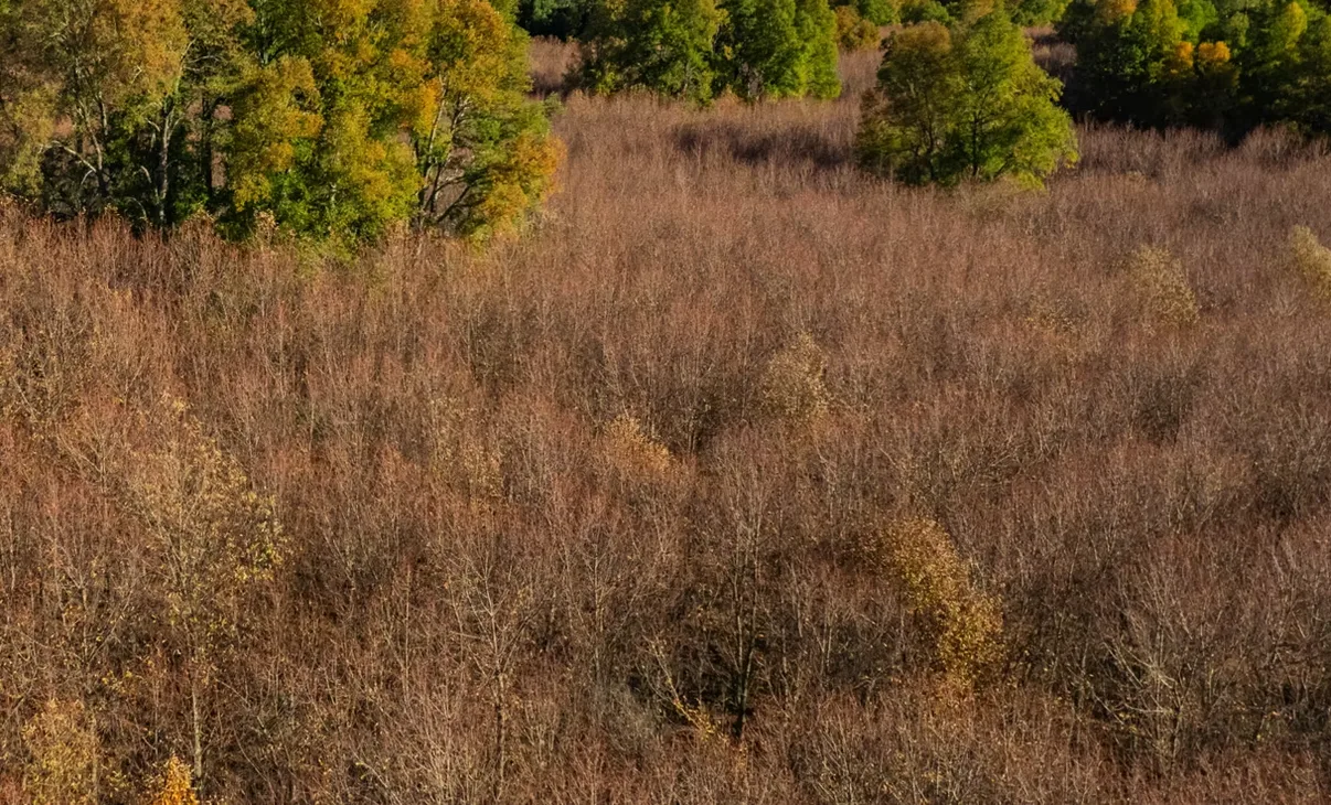 Fotografía 6 de 9 de la propiedad