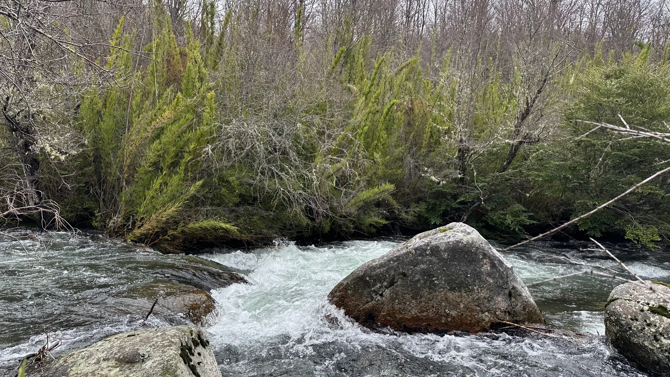 Río y vistas impresionantes en "Entre ríos", Malalcahuello