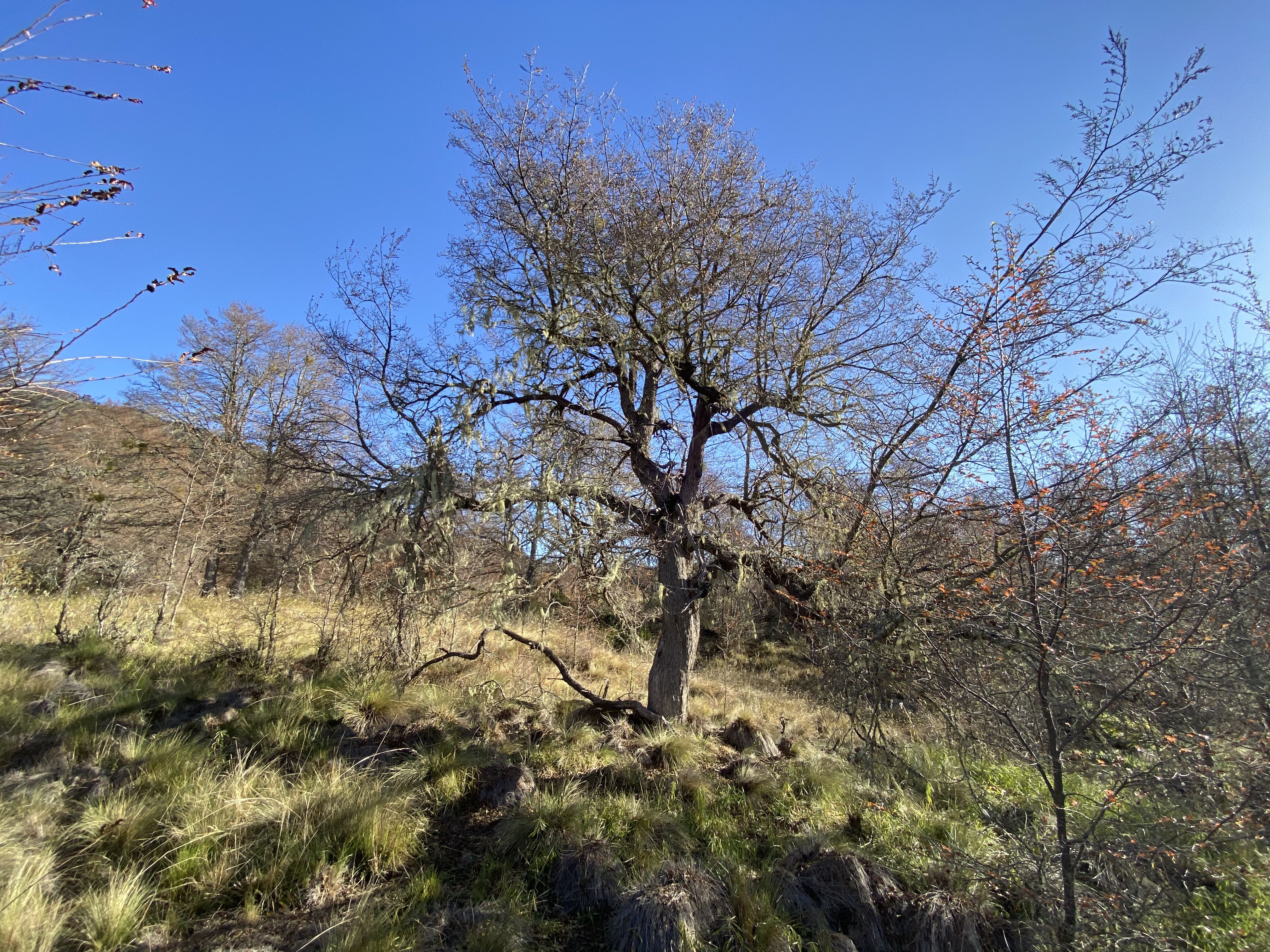 Fotografía 3 de 9 de la propiedad