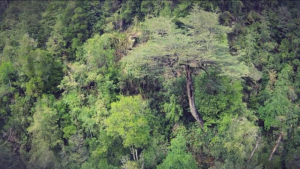 Campo de 347 hectáreas en La Unión
