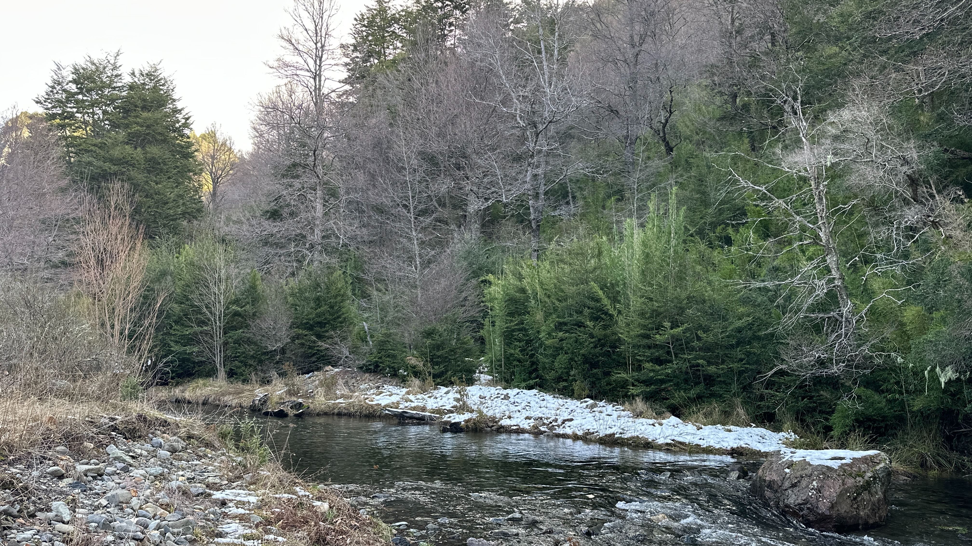 Terreno de 1 ha junto al río Caracoles