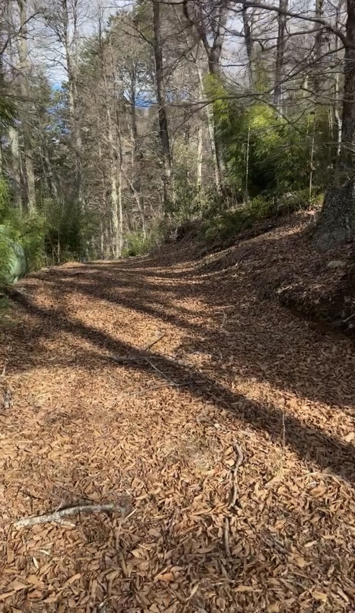 Terreno de 1 ha junto al río Caracoles