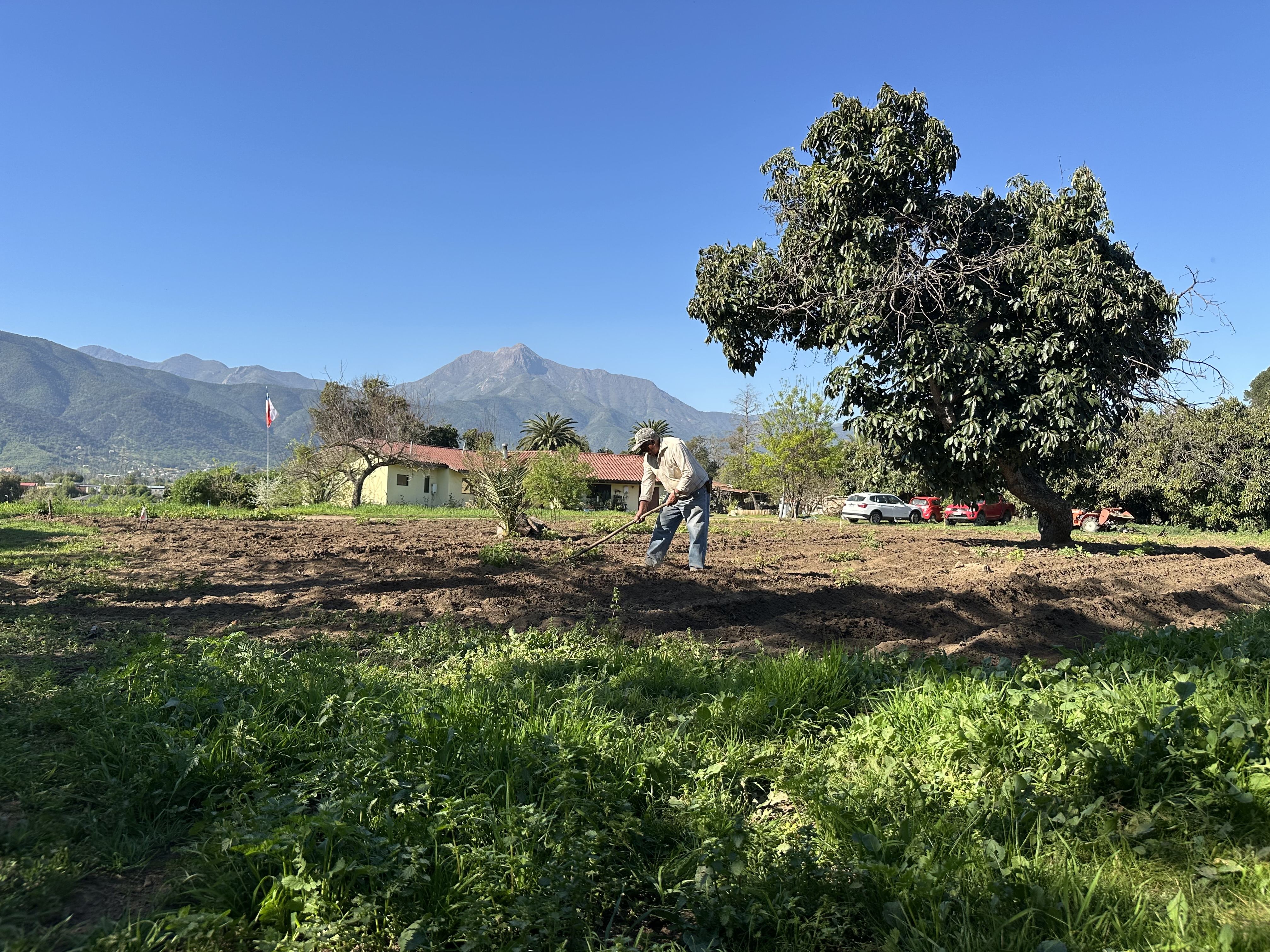 10.000m de campo chileno en Olmué